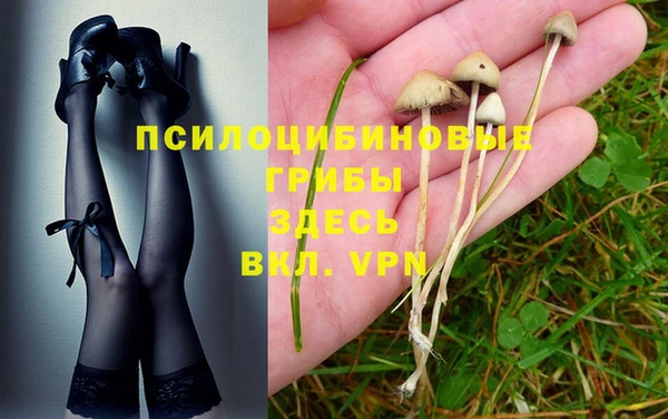 PSILOCYBIN Богородск